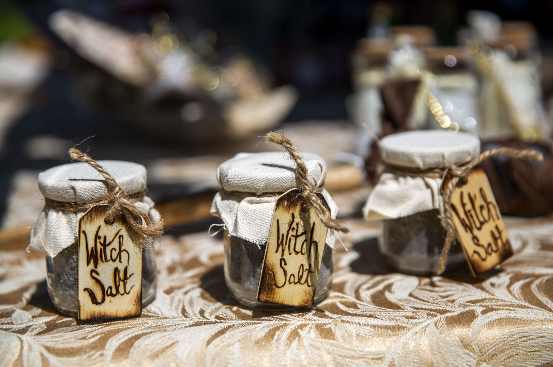 Pagan Fest celebrates Summer Solstice